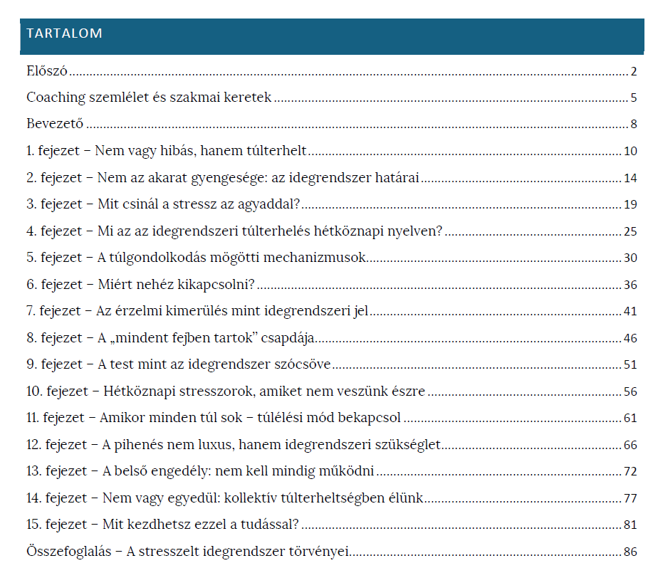 Nem veled van a baj-Túl sok. Túl gyors. Túl hangos -EBOOK