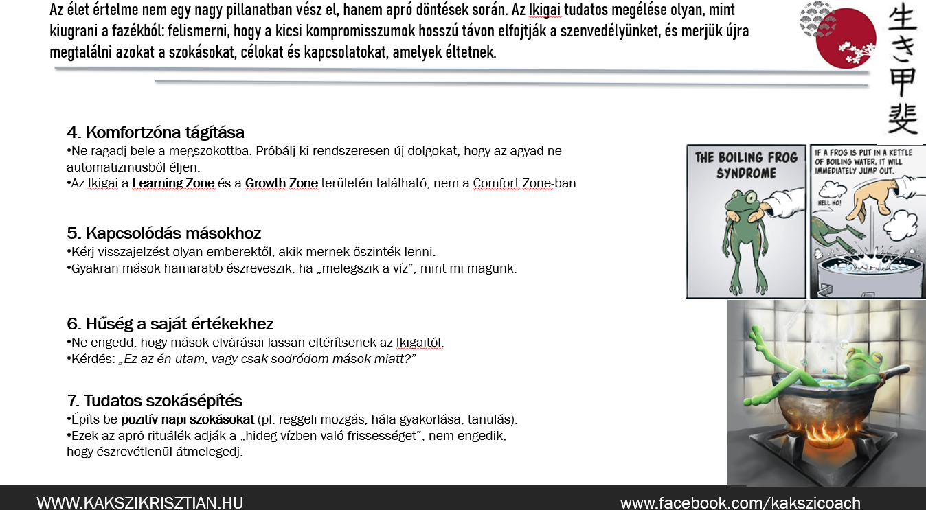 IKIGAI tréning (letölthető video tréning)